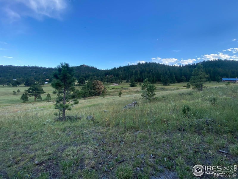 78 Mount Champion Dr, Livermore, CO 80536