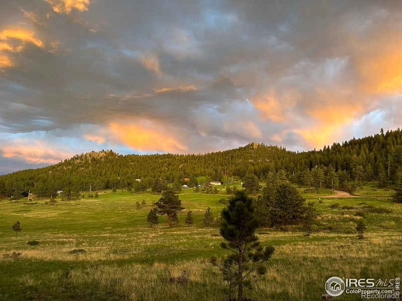 78 Mount Champion Dr, Livermore, CO 80536