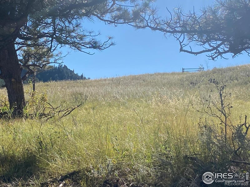 78 Mount Champion Dr, Livermore, CO 80536