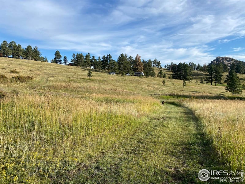 78 Mount Champion Dr, Livermore, CO 80536