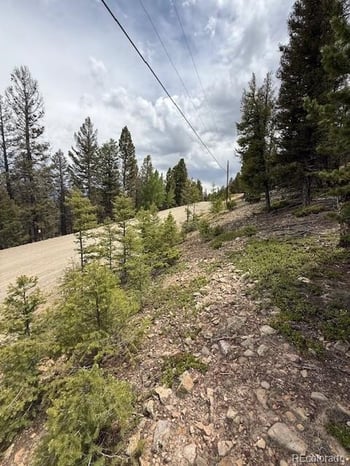 2689 Redhill Rd, Fairplay, CO 80440