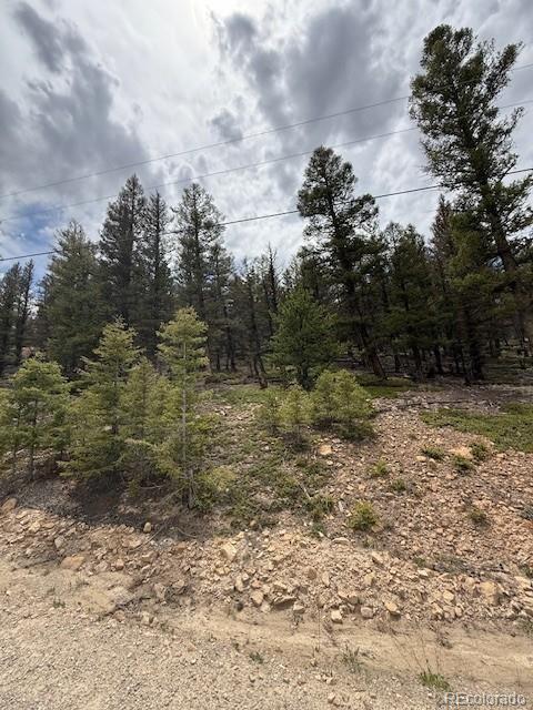 2689 Redhill Rd, Fairplay, CO 80440