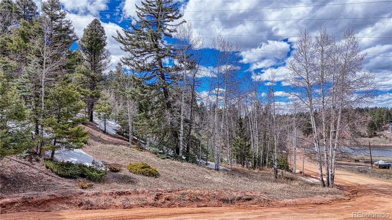 244 Spring Valley Ln, Florissant, CO 80816