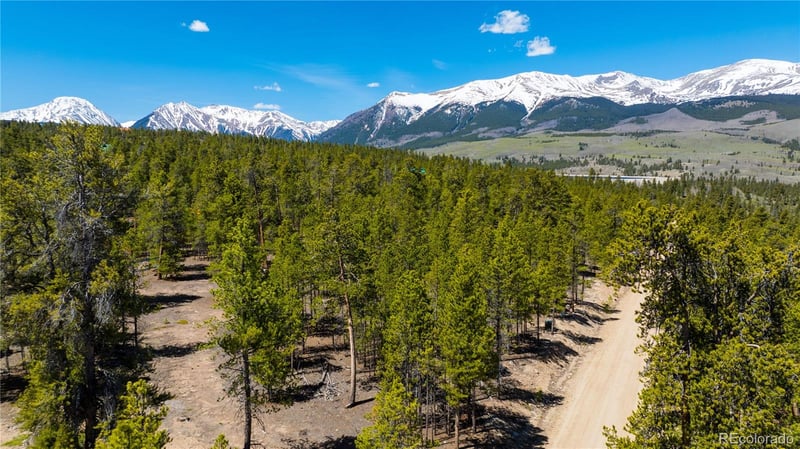 758 Spruce Dr, Twin Lakes, CO 80461