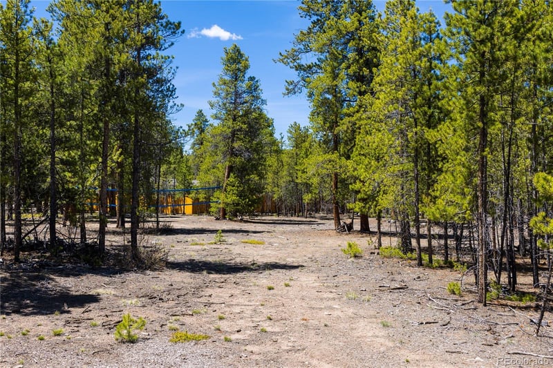 758 Spruce Dr, Twin Lakes, CO 80461