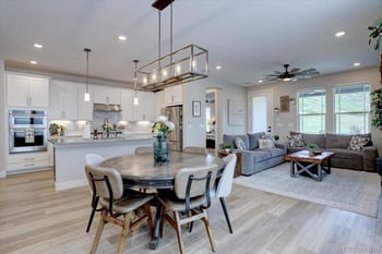 527 Felicity Loop, Castle Rock, CO 80109