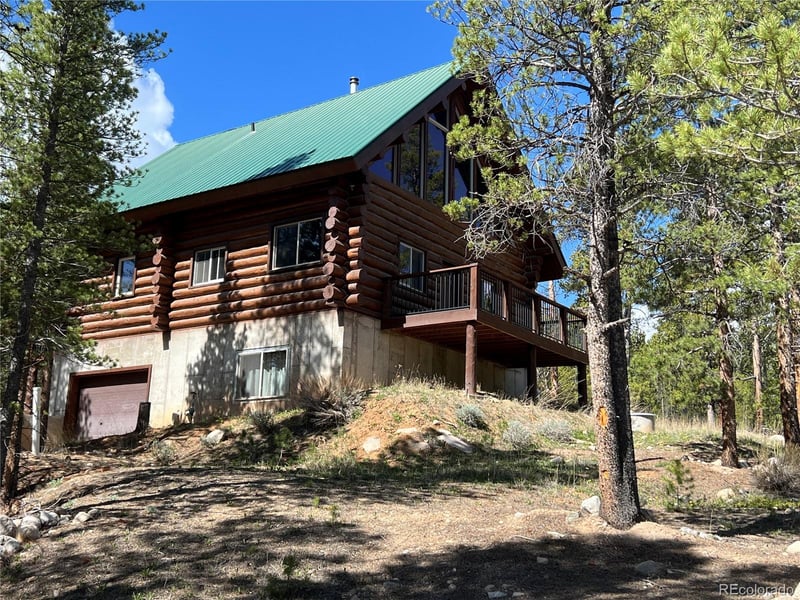 160 Birch Dr, Twin Lakes, CO 81251