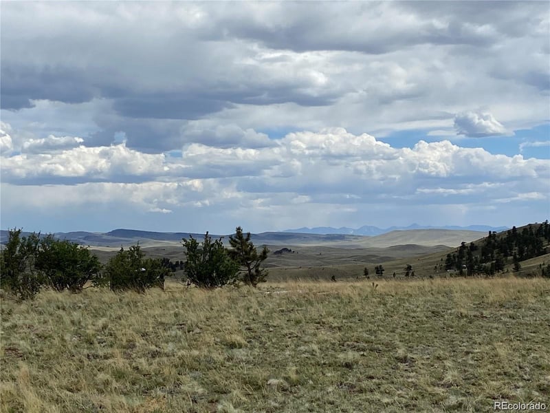 Kansa Rd, Hartsel, CO 80449