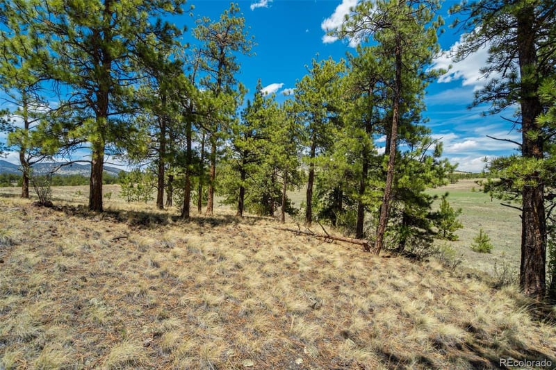 129 Eagle Nest Trl, Guffey, CO 80820