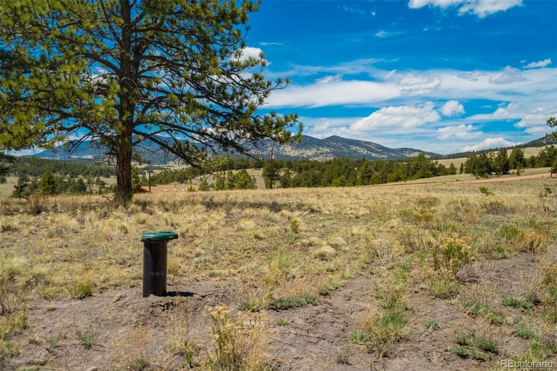 129 Eagle Nest Trl, Guffey, CO 80820