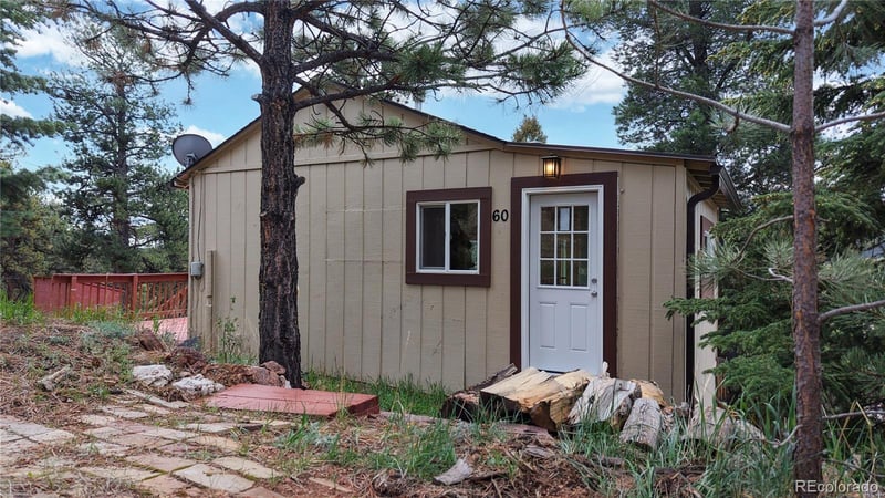60 Ball Rd, Bailey, CO 80421