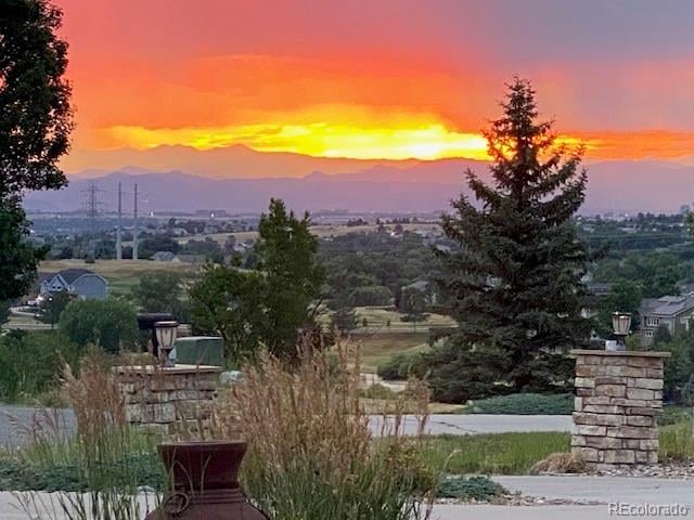 9928 Bluestar Dr, Parker, CO 80138