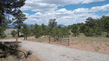 622 Arikara Trl, Hartsel, CO 80449