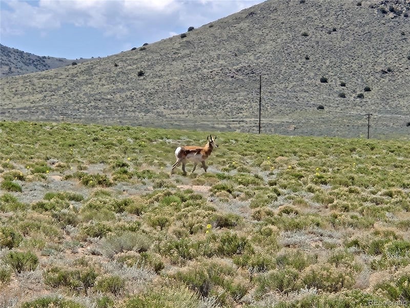 11th Street Lot 6, Blanca, CO 81133