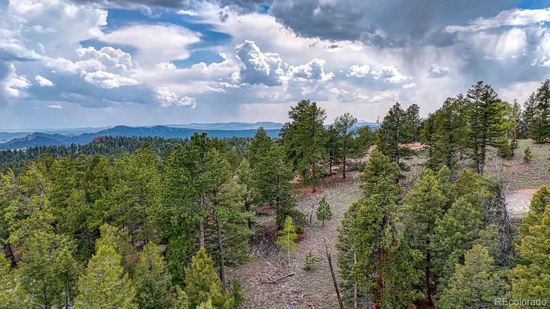 918 Pinon Ln, Florissant, CO 80816