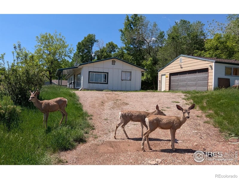 4809 Foothills Dr, Fort Collins, CO 80526