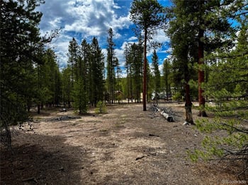 644 Birch Dr, Twin Lakes, CO 80461