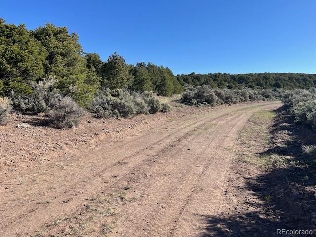 Lot 4 Elk Park Rd, San Luis, CO 81152
