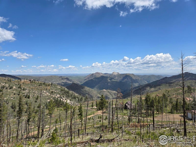 821 Woodlot Ln, Bellvue, CO 80512