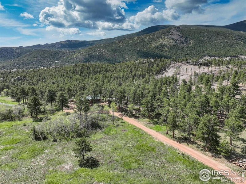 277 Ski Rd E, Allenspark, CO 80510