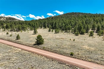 128 Nancy Ann Arroyo, Guffey, CO 80820