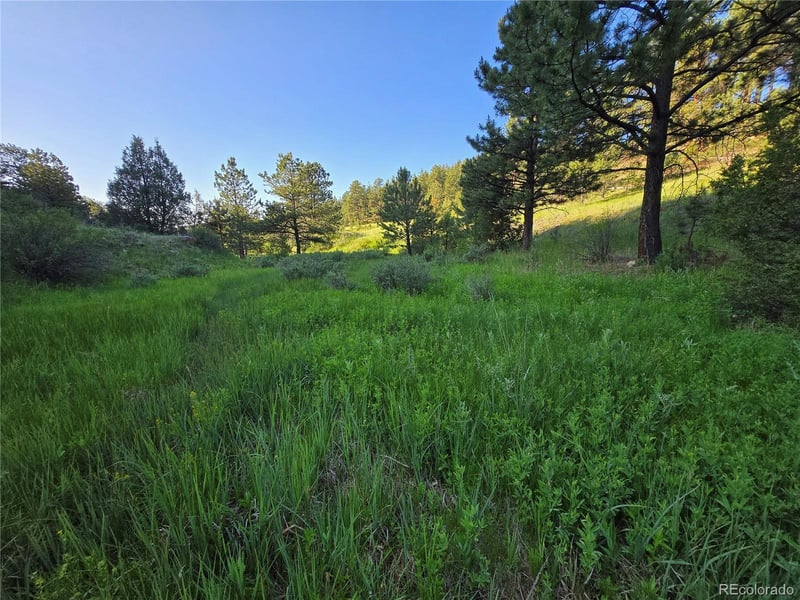 14514 Reserve Rd, Pine, CO 80470
