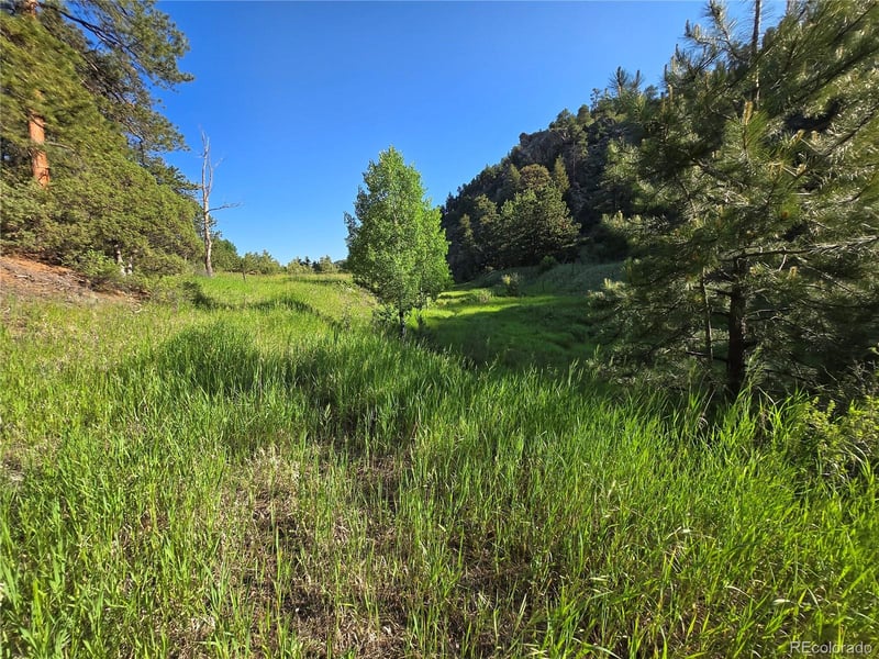 14514 Reserve Rd, Pine, CO 80470