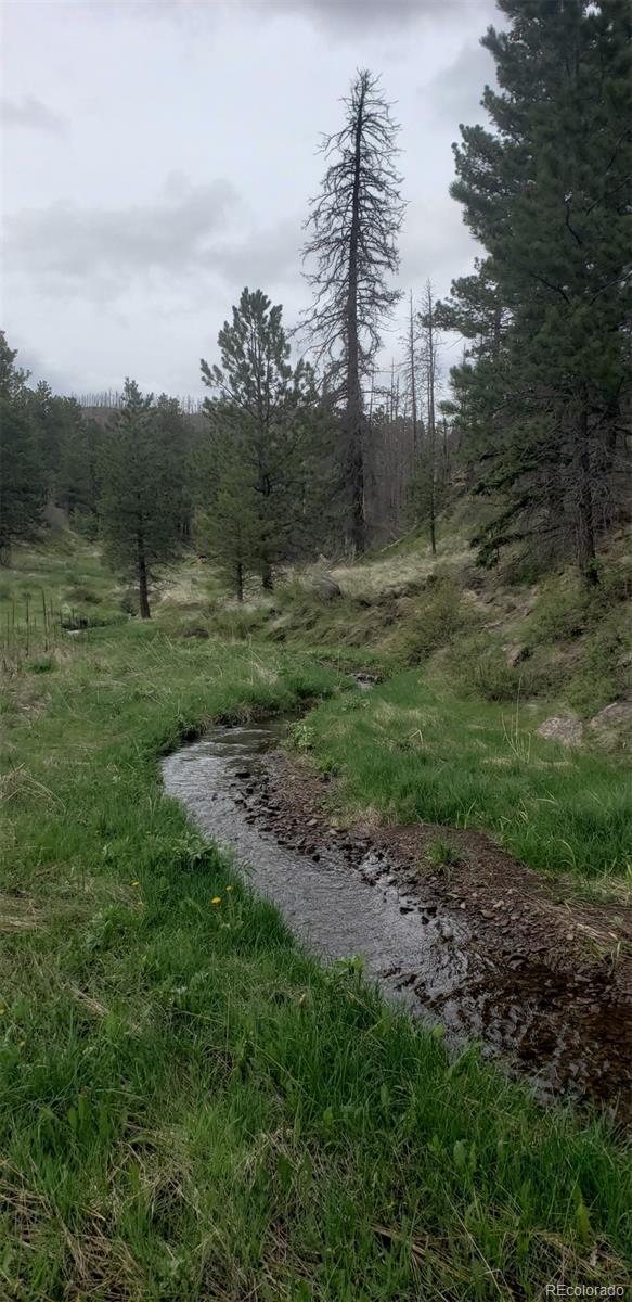 3682 Powers Rd, Fort Garland, CO 81133
