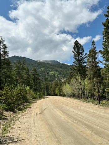 30385 National Forest Dr, Buena Vista, CO 81211