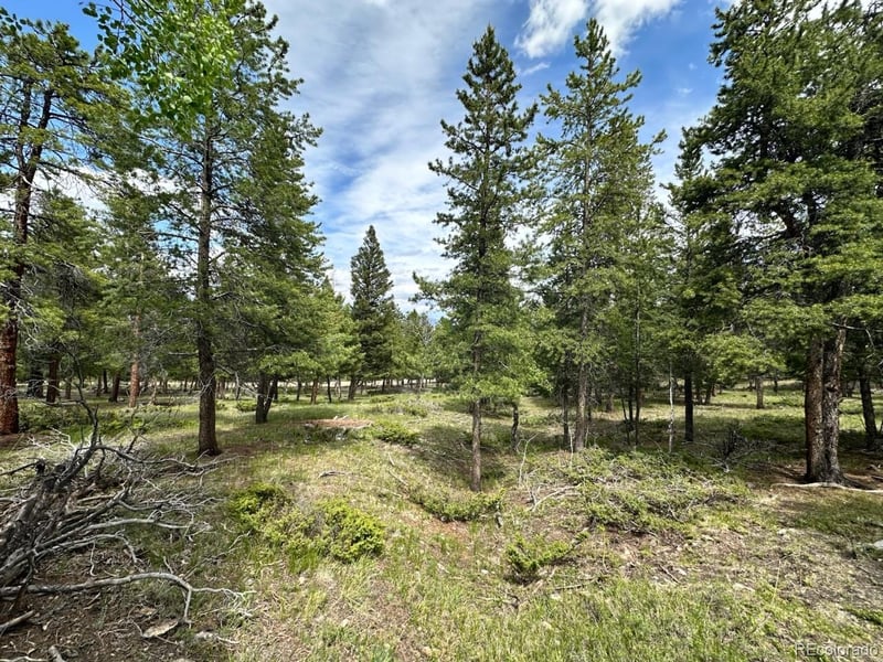 30385 National Forest Dr, Buena Vista, CO 81211
