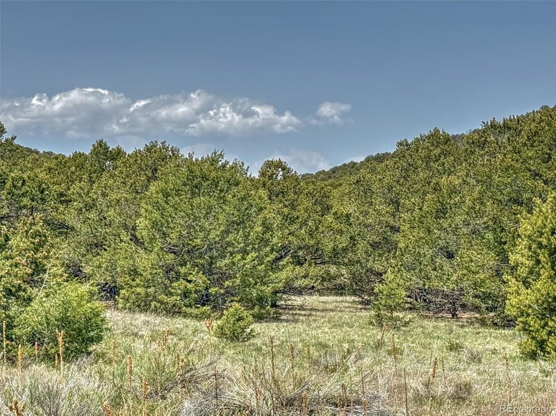 TBD Lot 34 Corral Lot 34, Cotopaxi, CO 81223