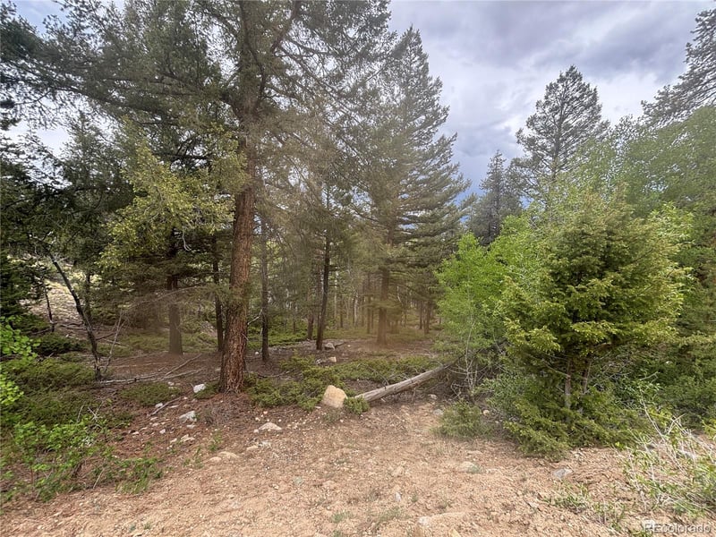 30304 Aspen Turn, Buena Vista, CO 81211