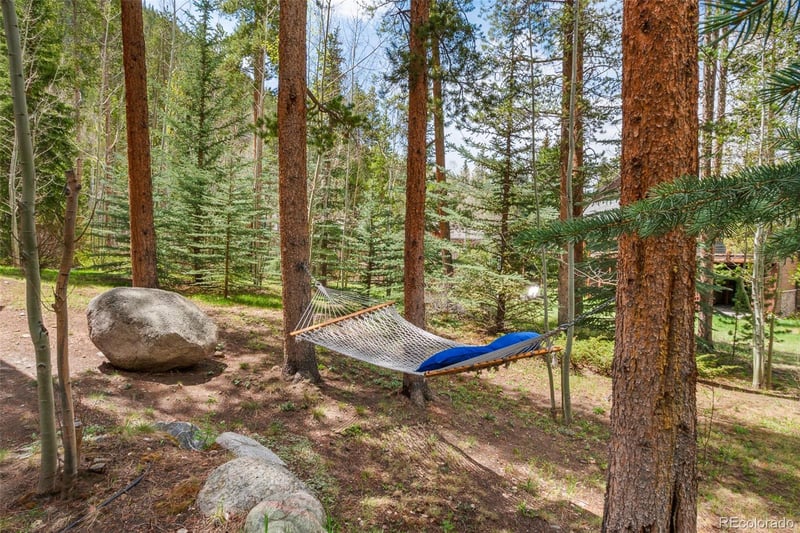 21 Appaloosa Ct, Dillon, CO 80435