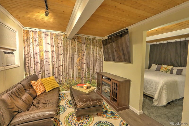 11101 County Road 117 #3D, Glenwood Springs, CO 81601