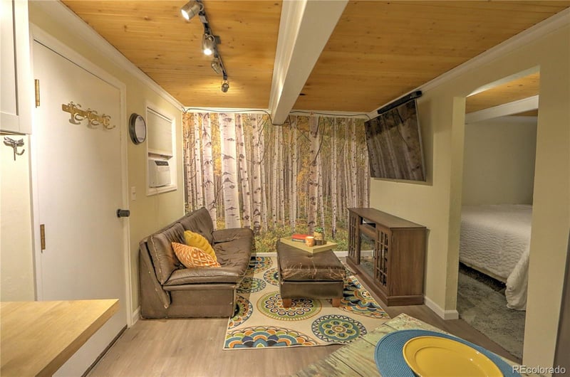 11101 County Road 117 #3D, Glenwood Springs, CO 81601