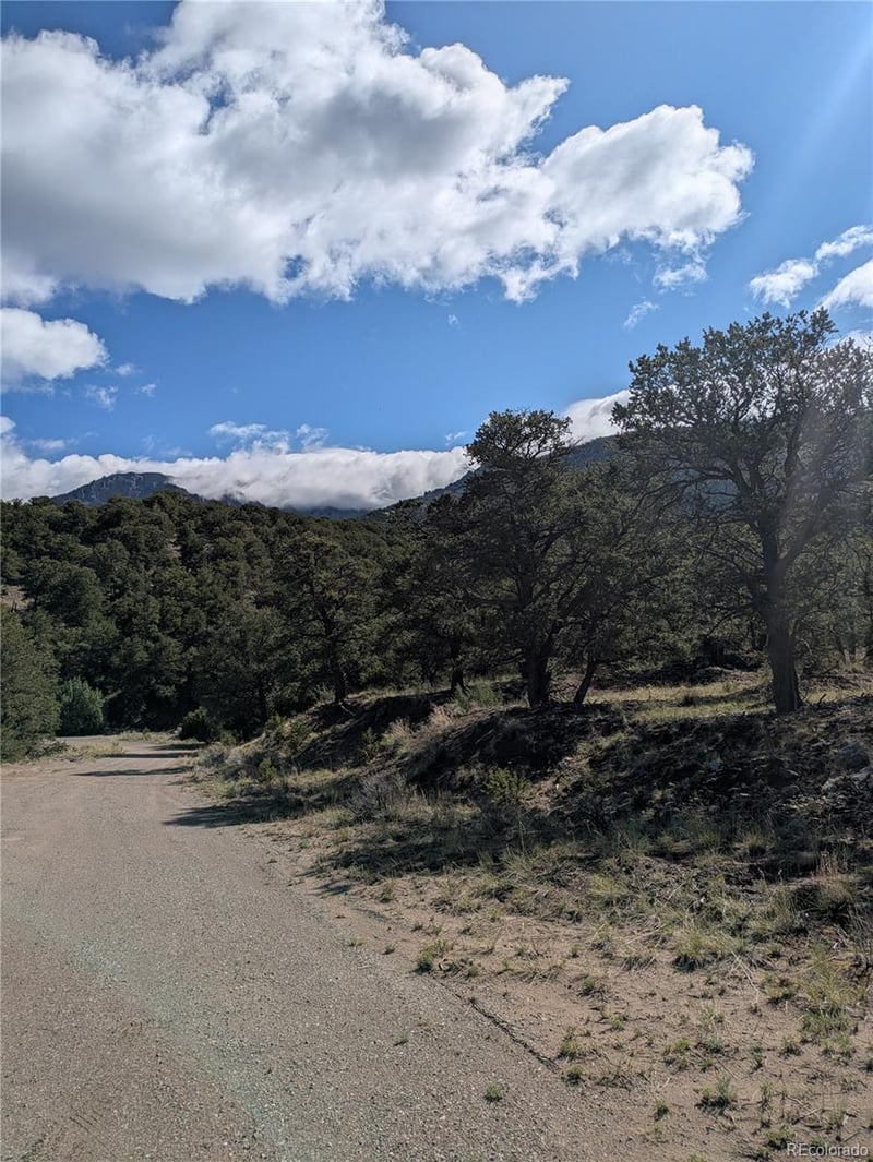 1813 Rockyview Way, Crestone, CO 81131