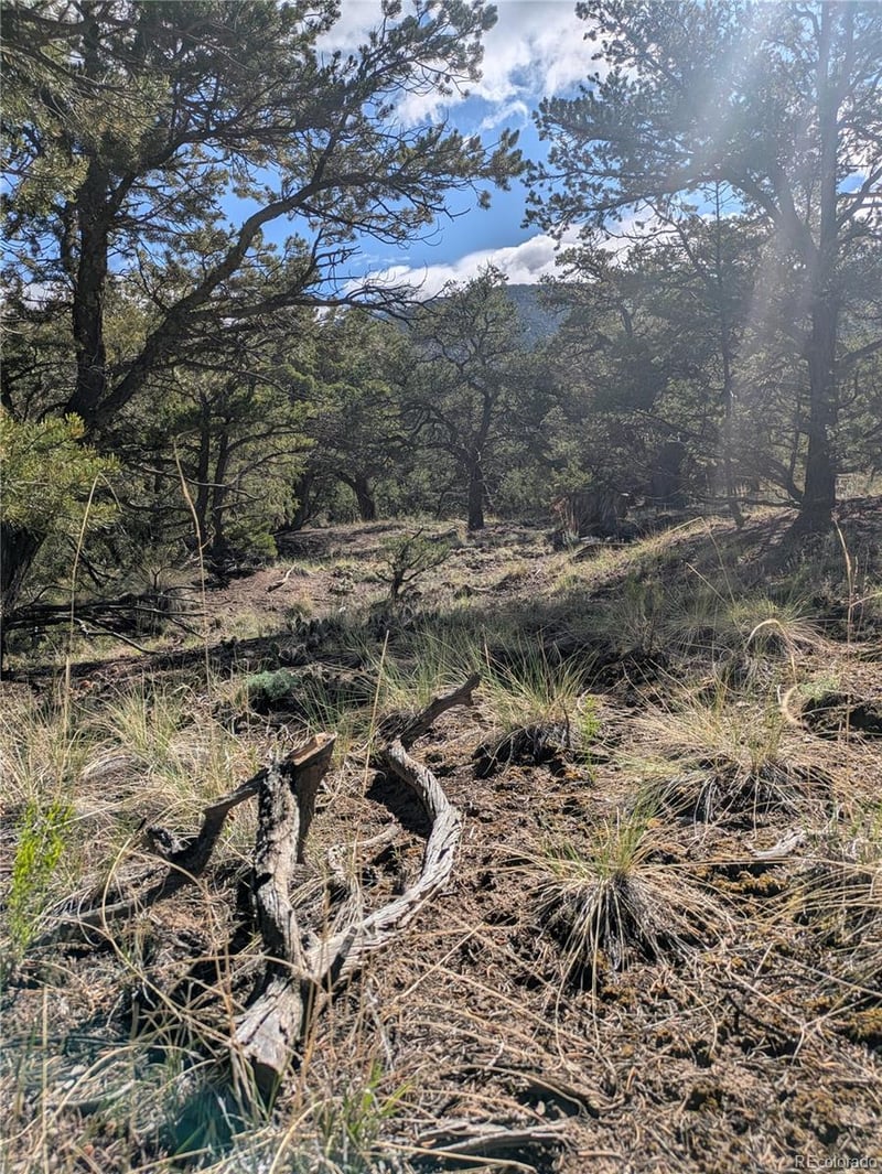 1813 Rockyview Way, Crestone, CO 81131