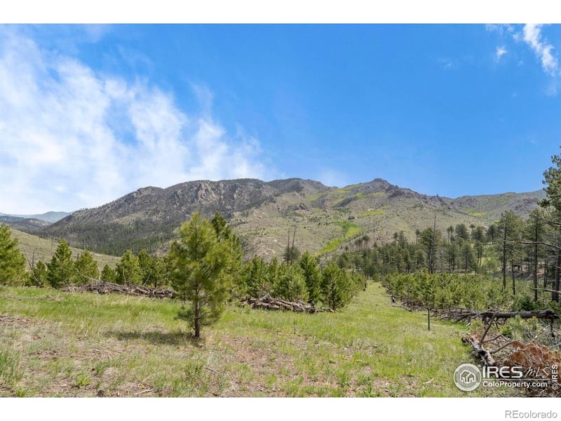 1009 County Road 87j, Lyons, CO 80540