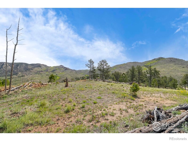 1009 County Road 87j, Lyons, CO 80540