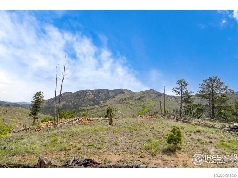 1009 County Road 87j, Lyons, CO 80540