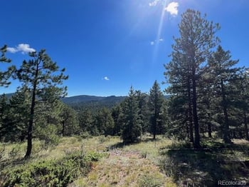 Tbd Barney Gulch Rd, Conifer, CO 80433