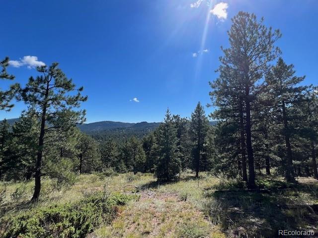 Tbd Barney Gulch Rd, Conifer, CO 80433
