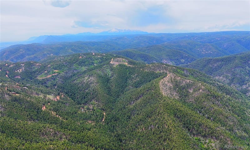 13114 Grey Hackle Dr, Larkspur, CO 80118