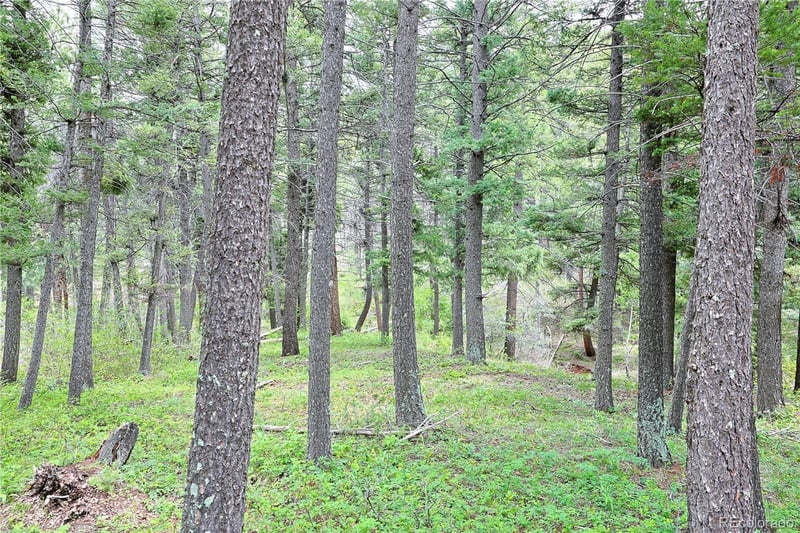 13114 Grey Hackle Dr, Larkspur, CO 80118