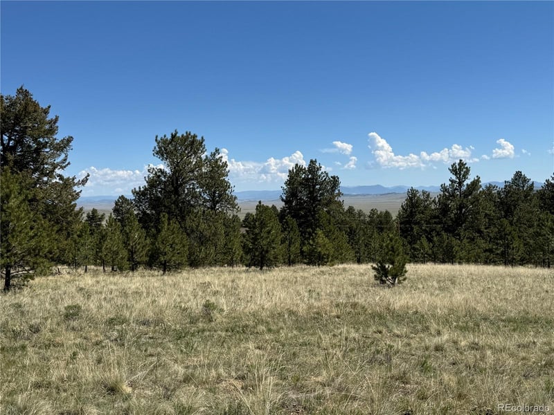 9430 Ranch Rd, Hartsel, CO 80449