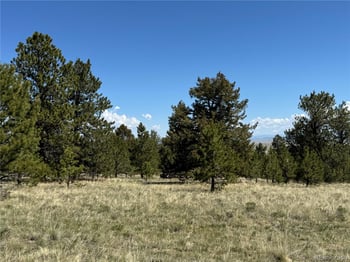 9430 Ranch Rd, Hartsel, CO 80449