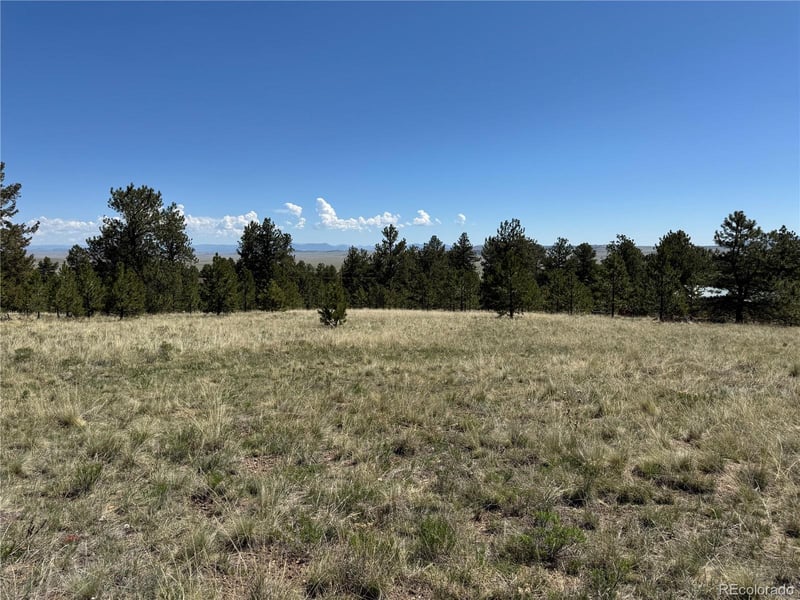 9430 Ranch Rd, Hartsel, CO 80449