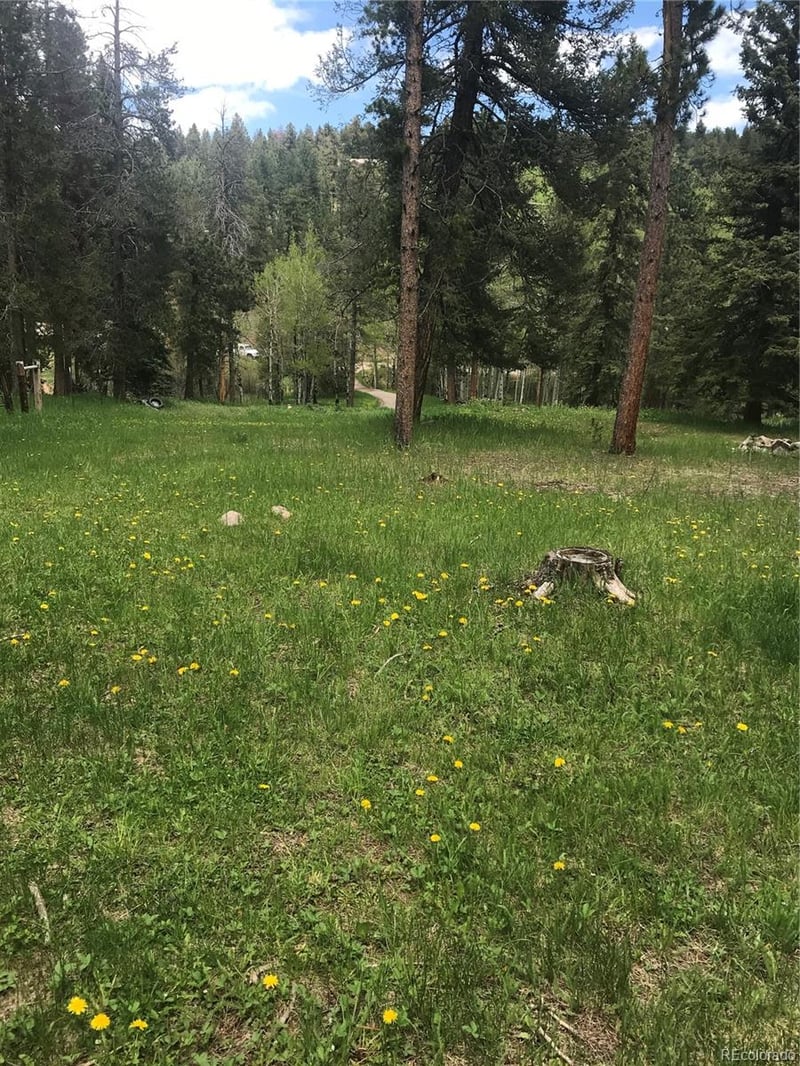 0 Shadow Mountain Dr, Conifer, CO 80433