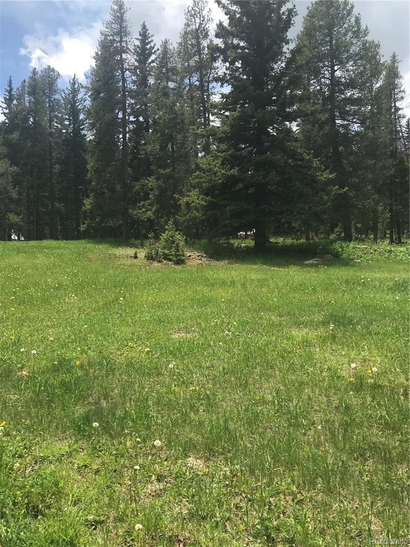 0 Shadow Mountain Dr, Conifer, CO 80433