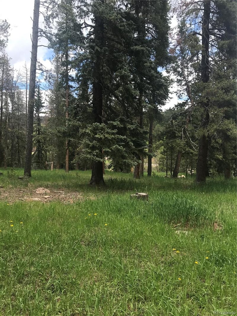 0 Shadow Mountain Dr, Conifer, CO 80433